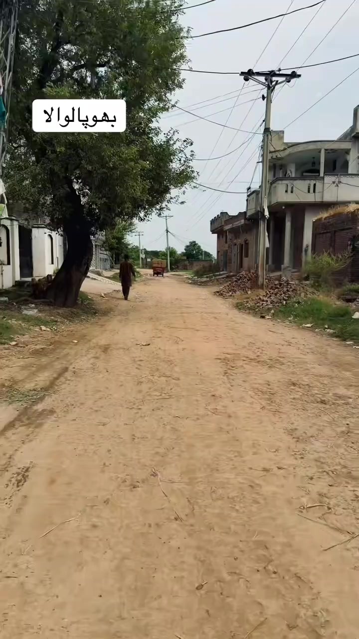 @😘تُو چانن میری اکھیاں دا🥀