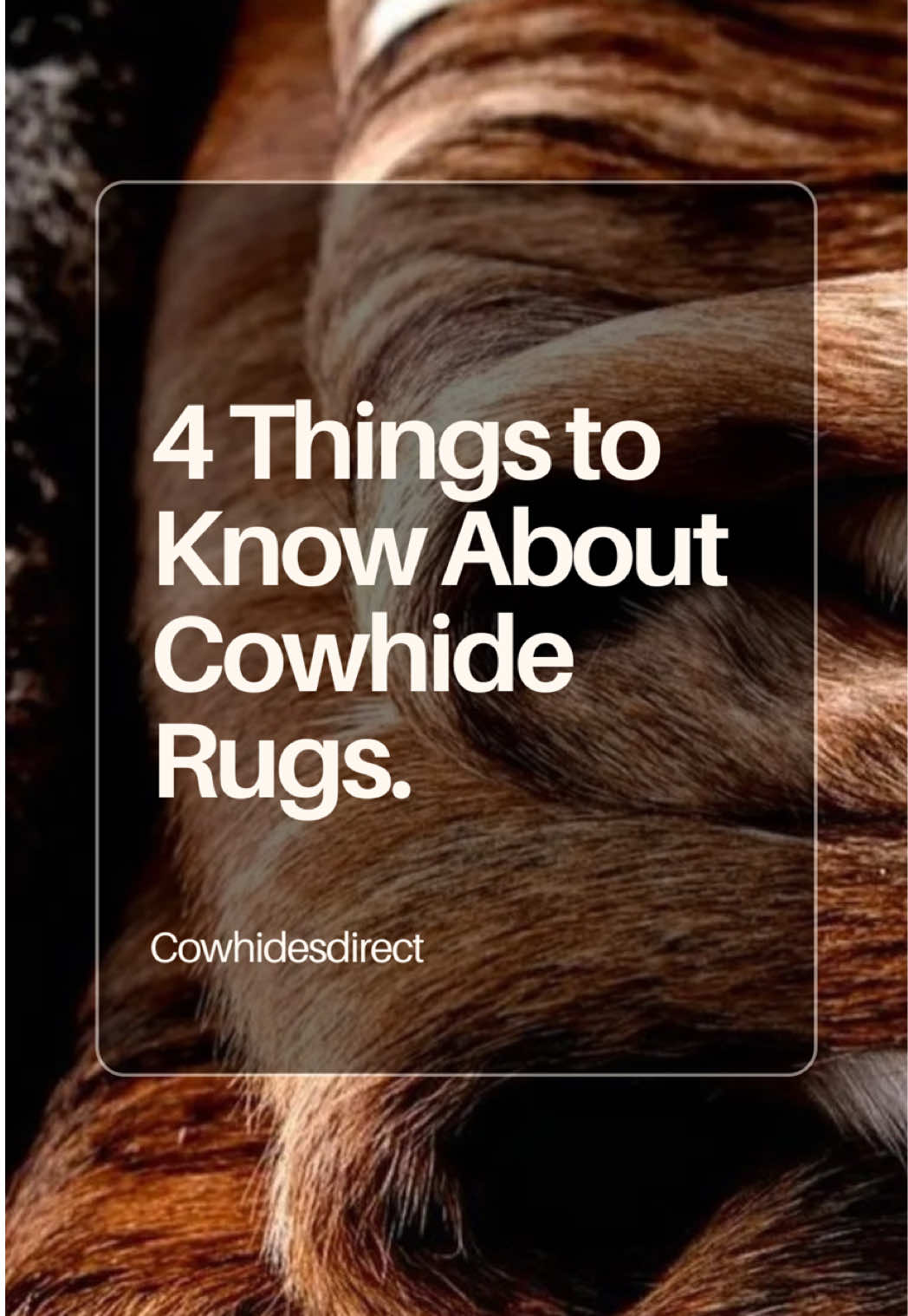 @cowhidesdirect