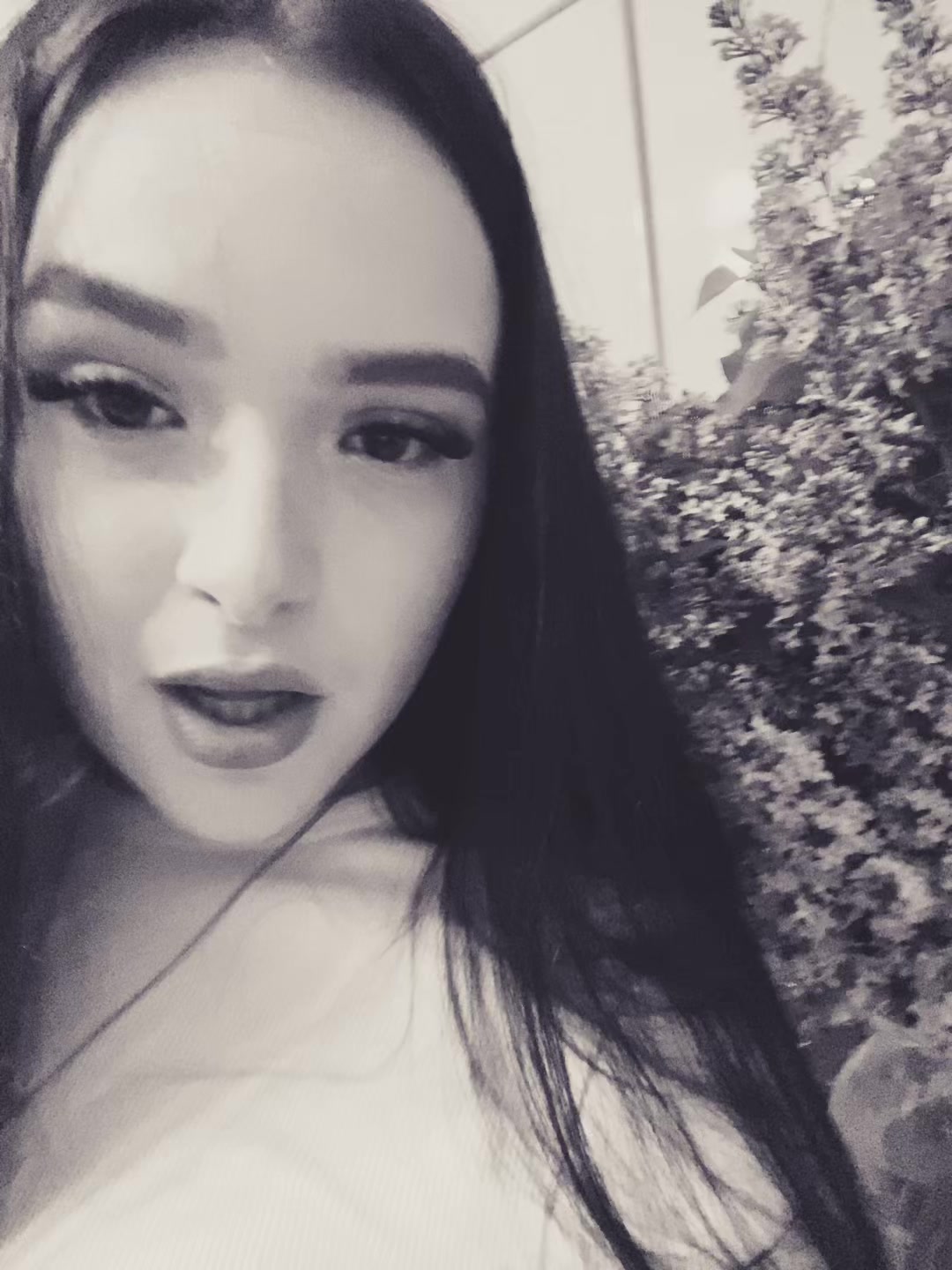 @violaaaa