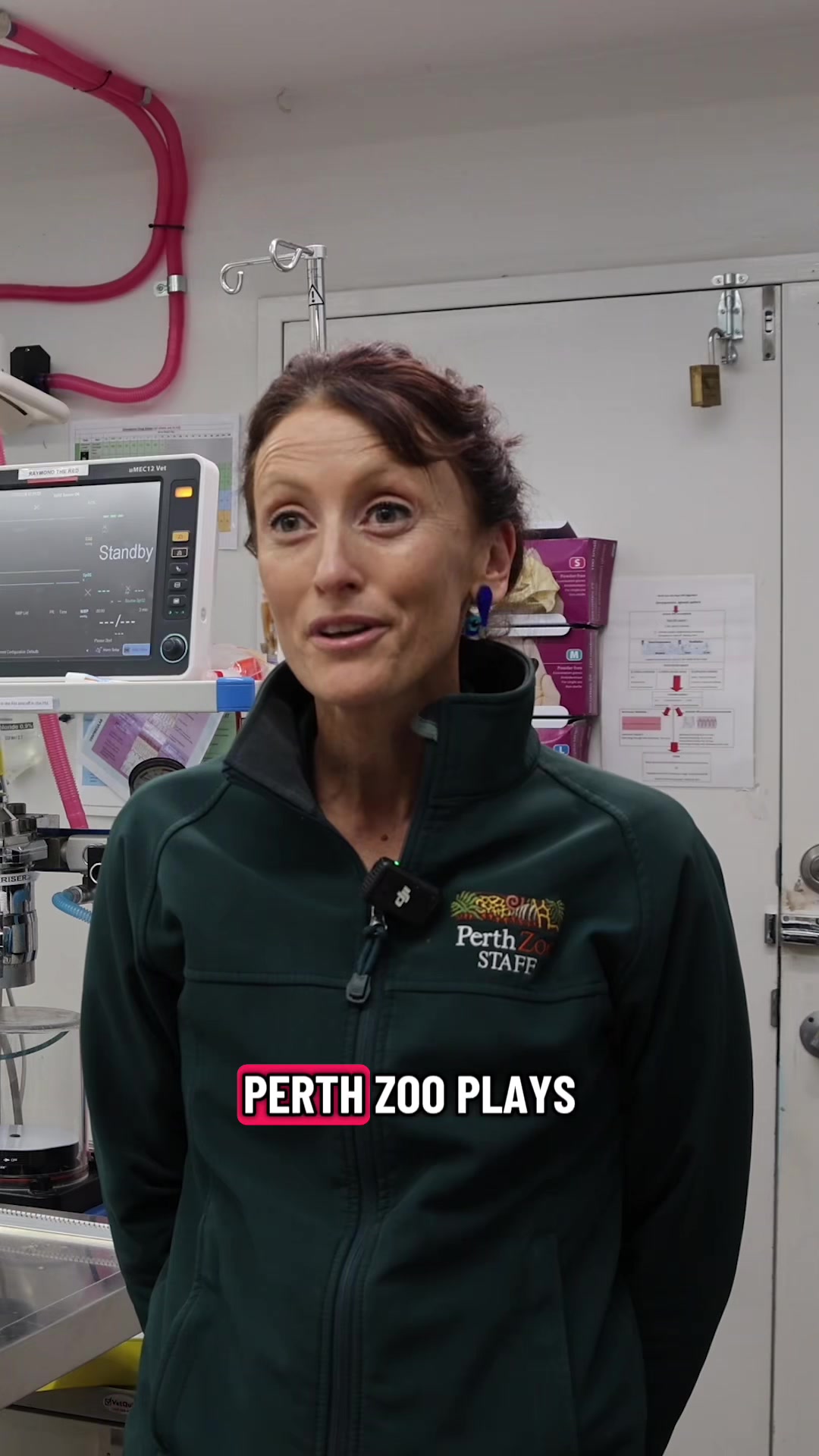 @Perth Zoo