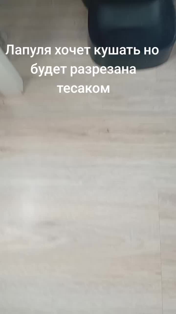 @Хонкантон