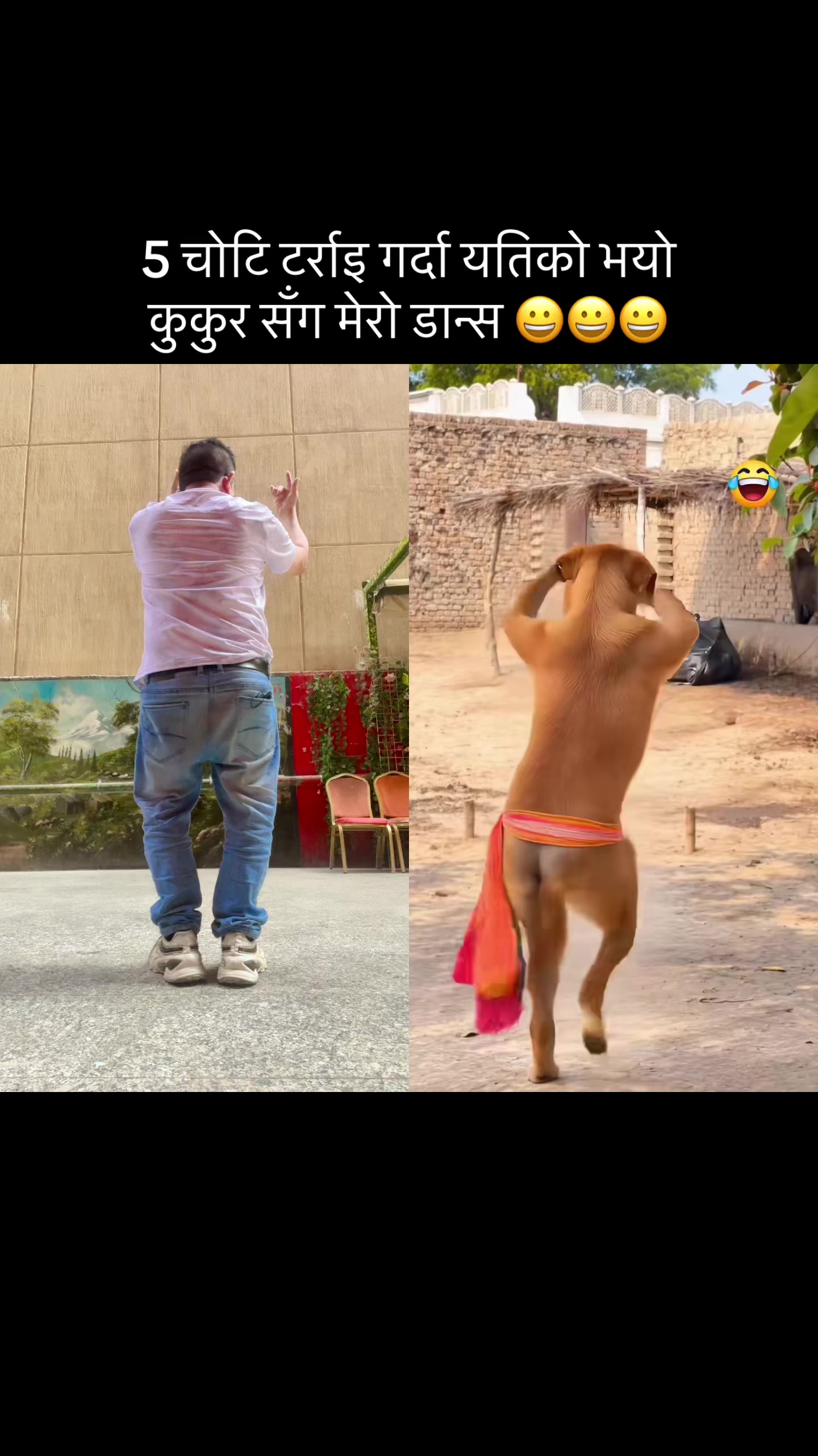 @yamtamu65