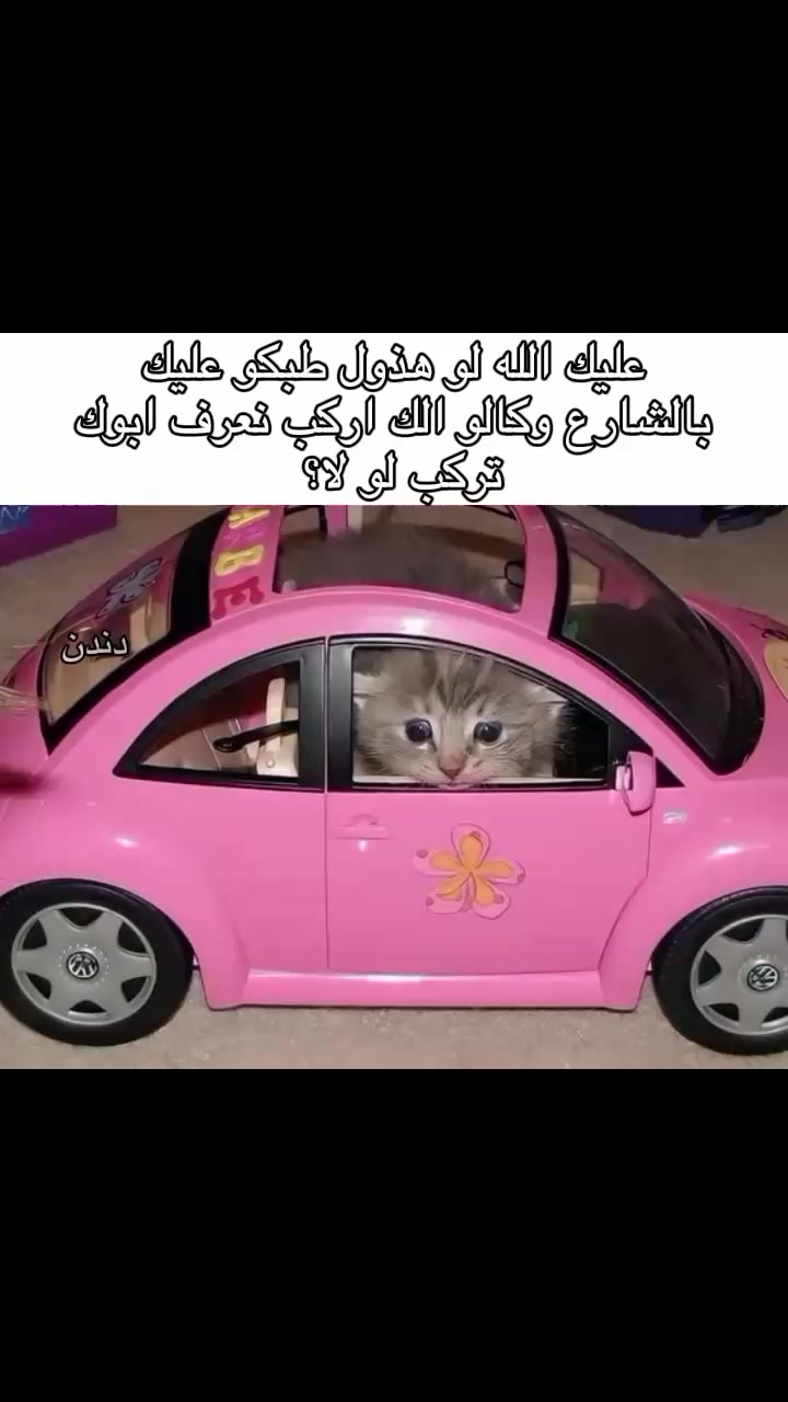 @دندن