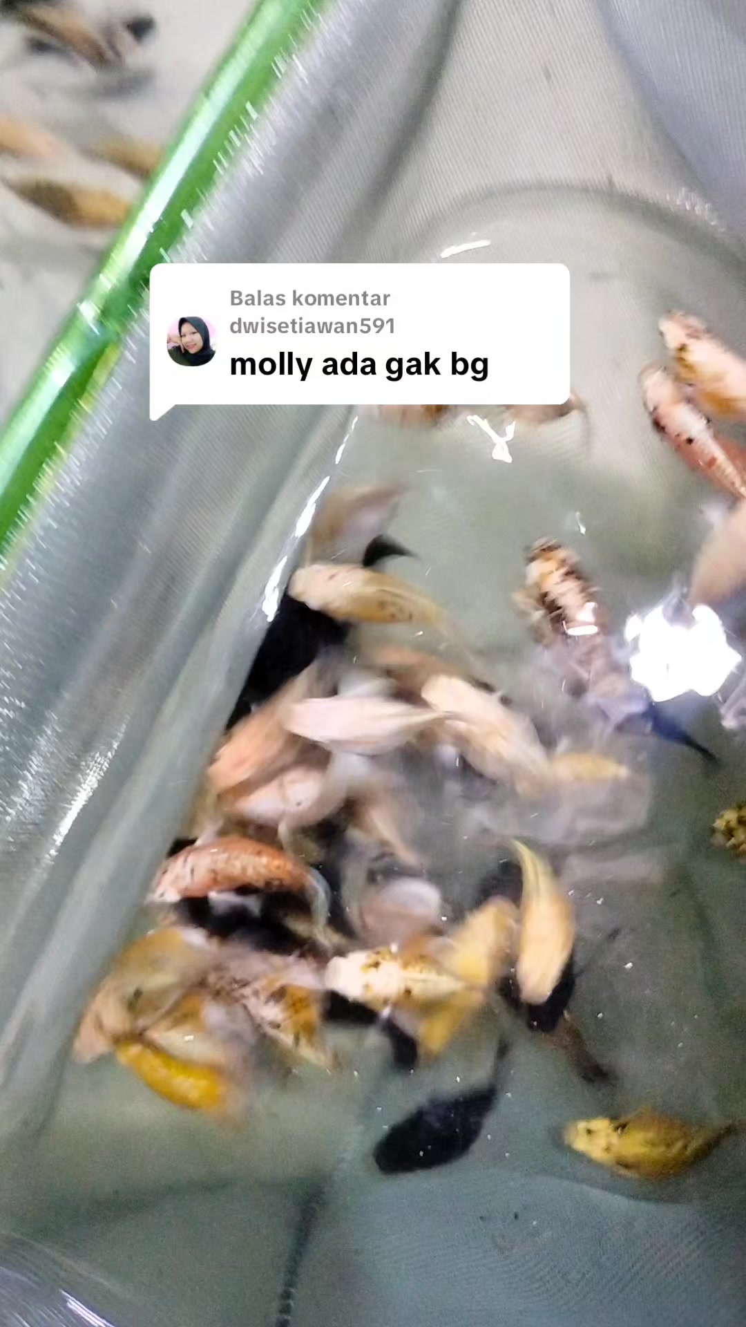 @UniJambi_Aquarium