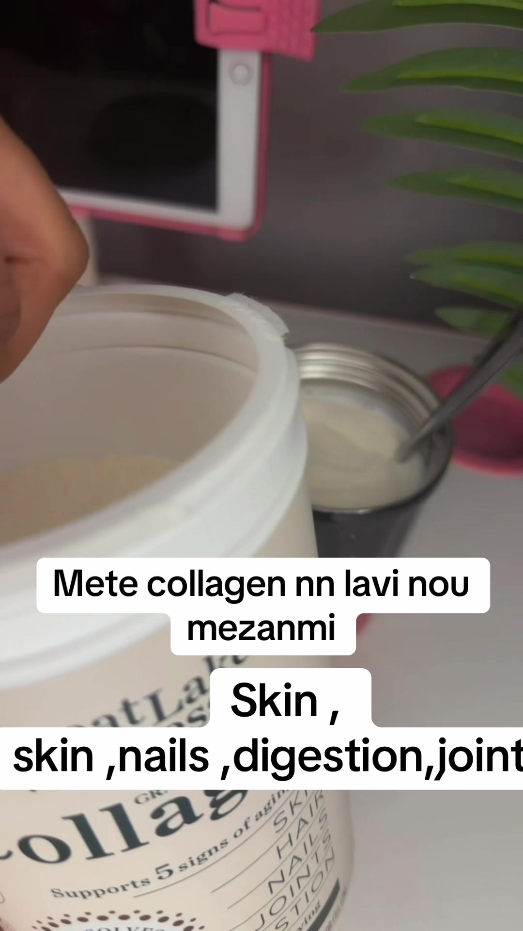 @Nolion no chaton notet langet