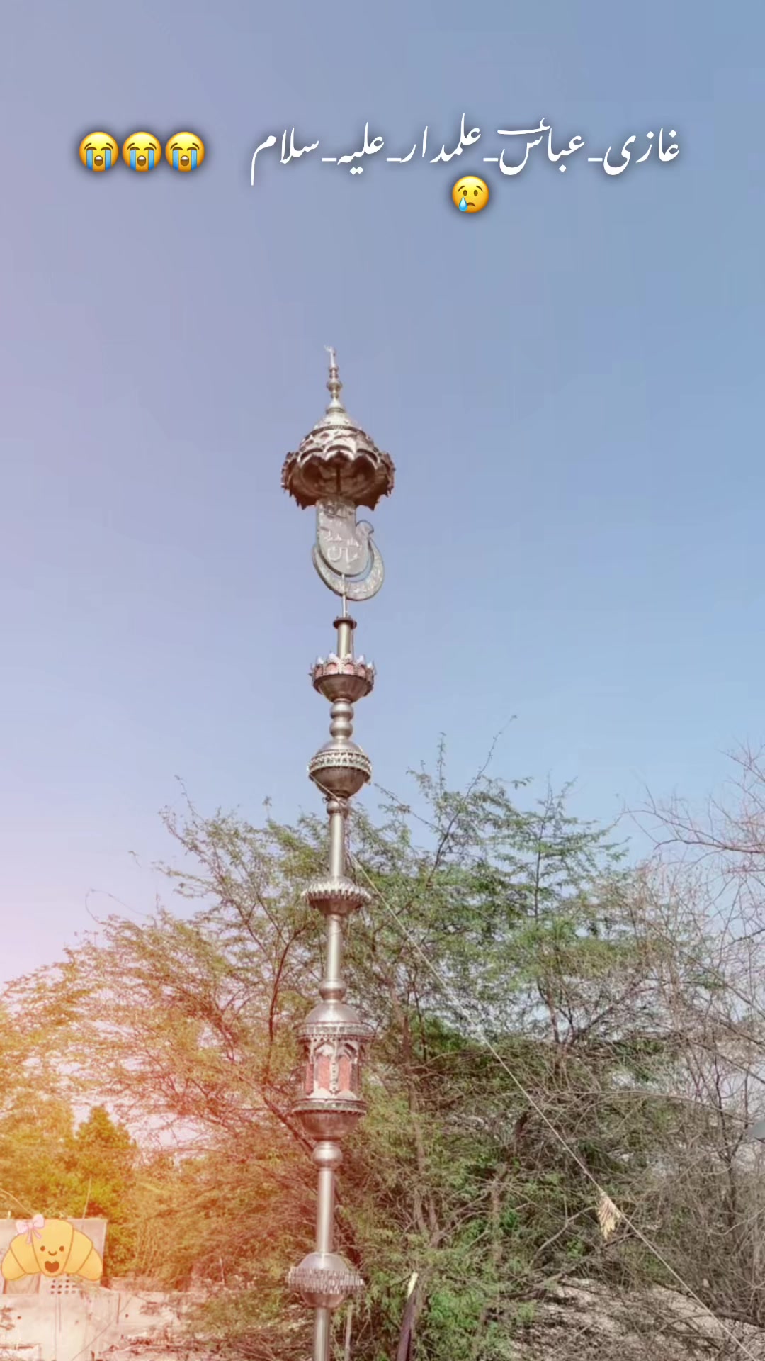 @najaf ali 786