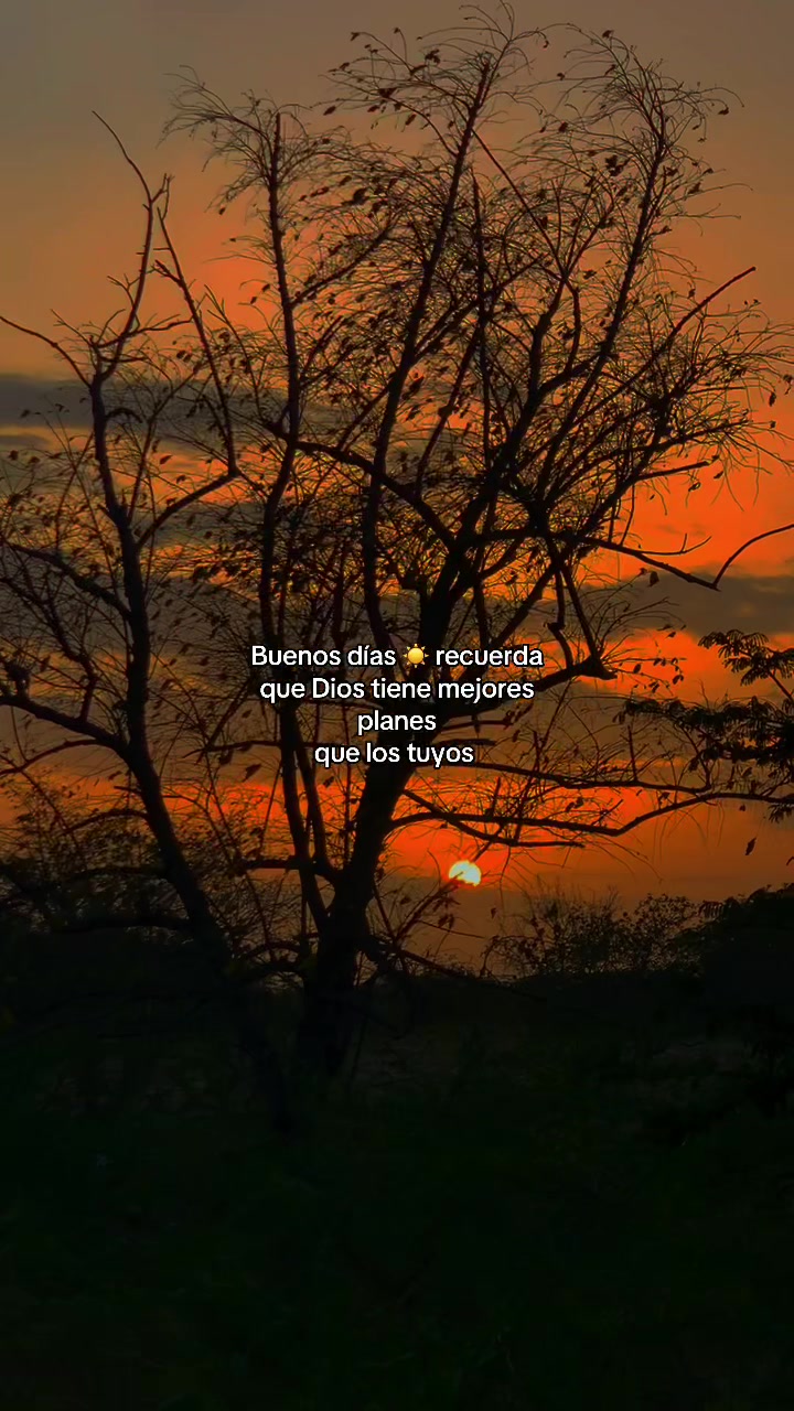 @📸brailin.96 🍂🌄