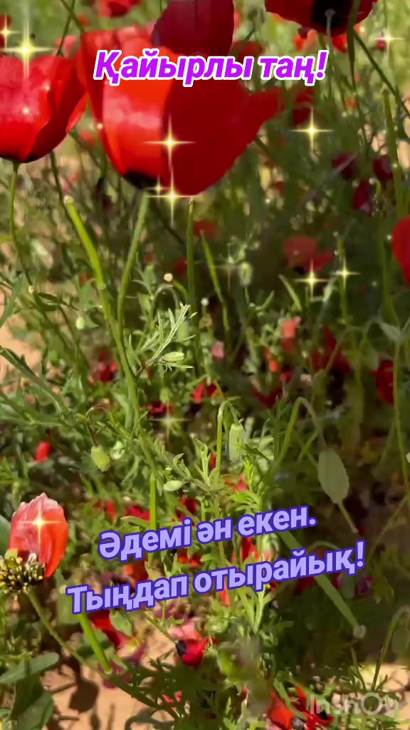@Галия Алгожина
