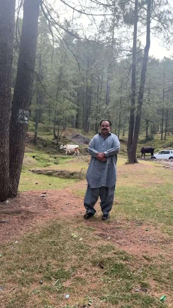 @Zawar Gull