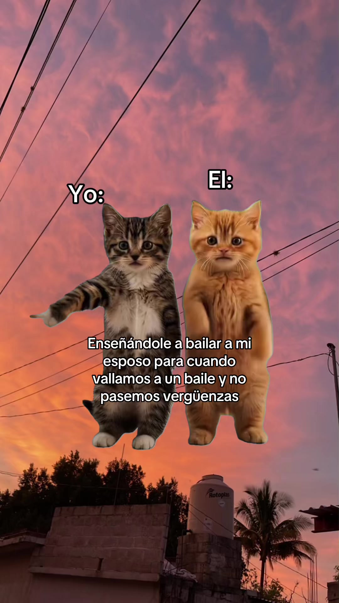 @Antho🧚♀️✨🌻🇲🇽