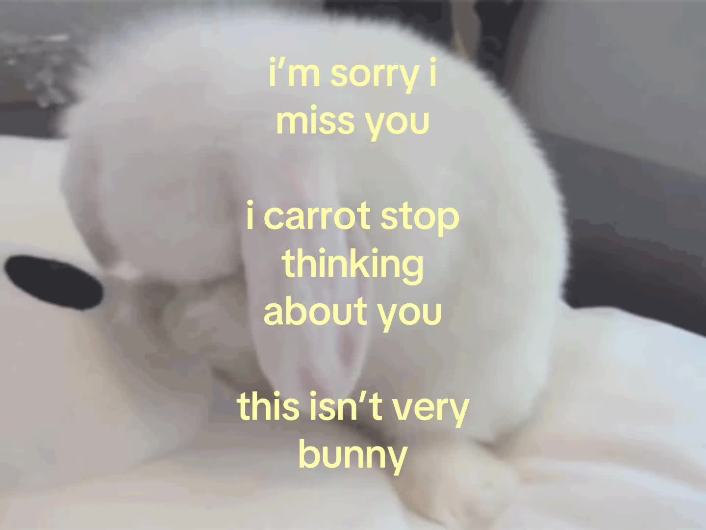 @❀