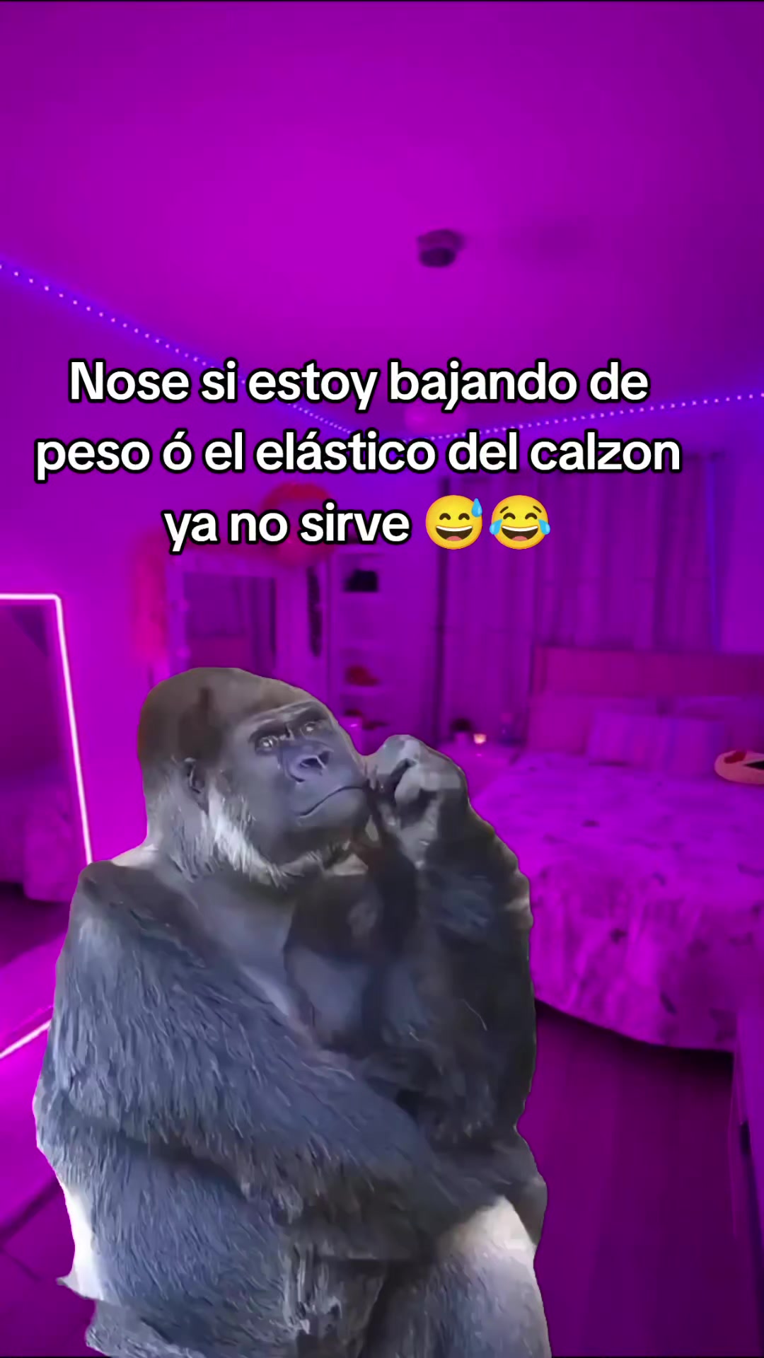 @ersa