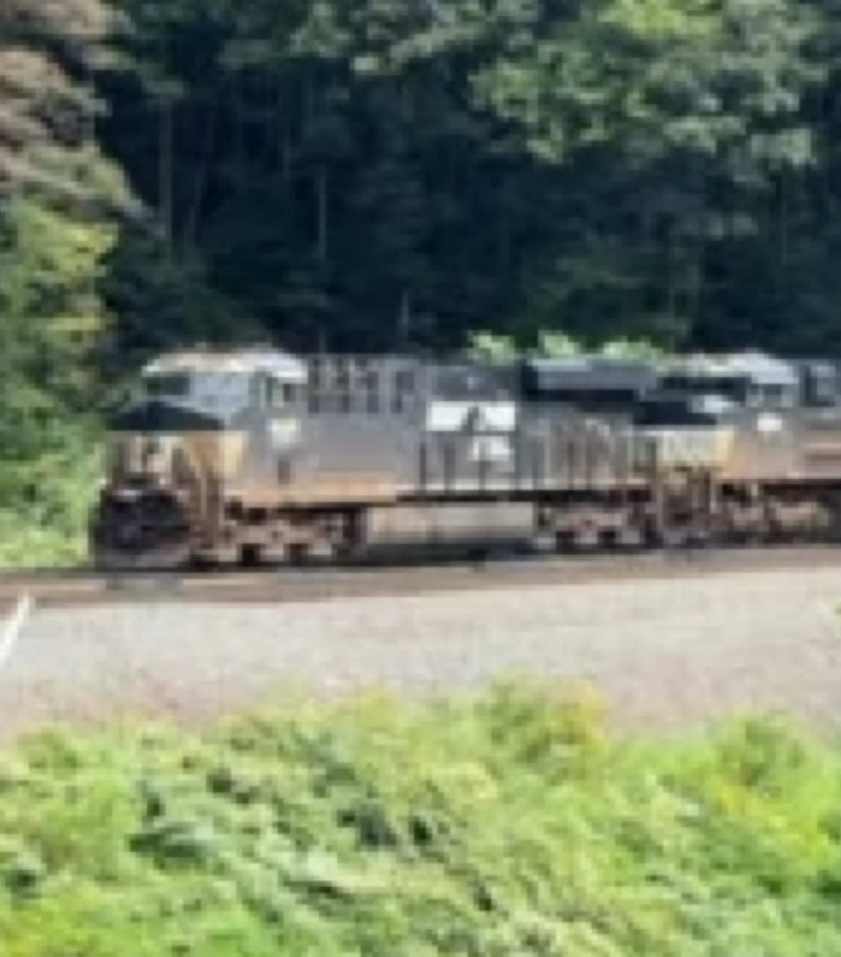 @The_nys_foamer
