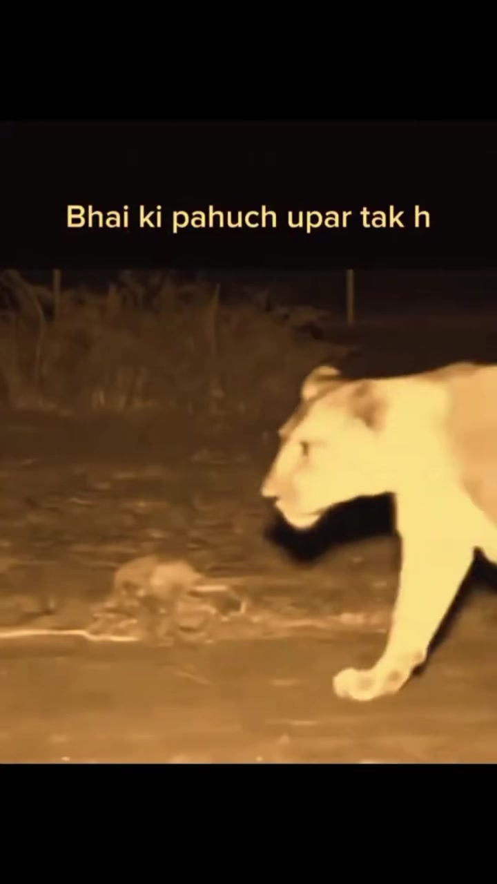 @ghorisahab804