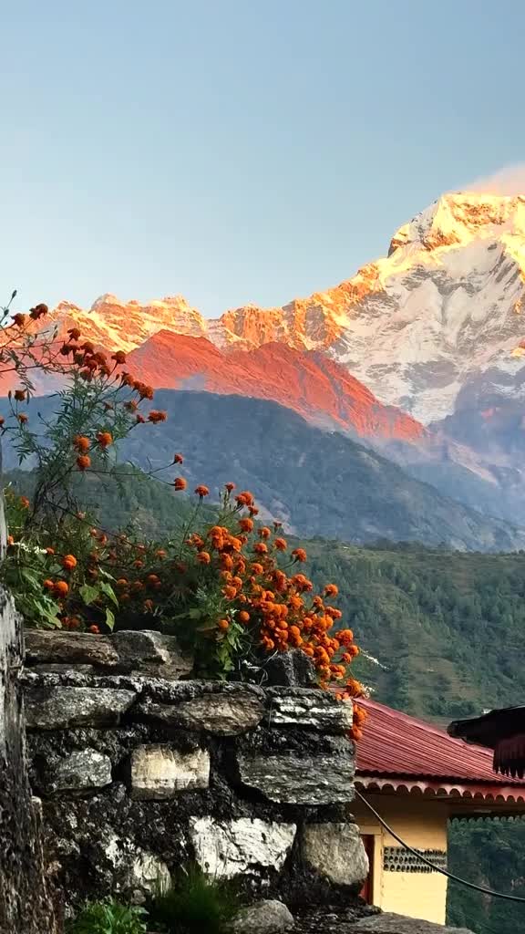 @beepana thapa
