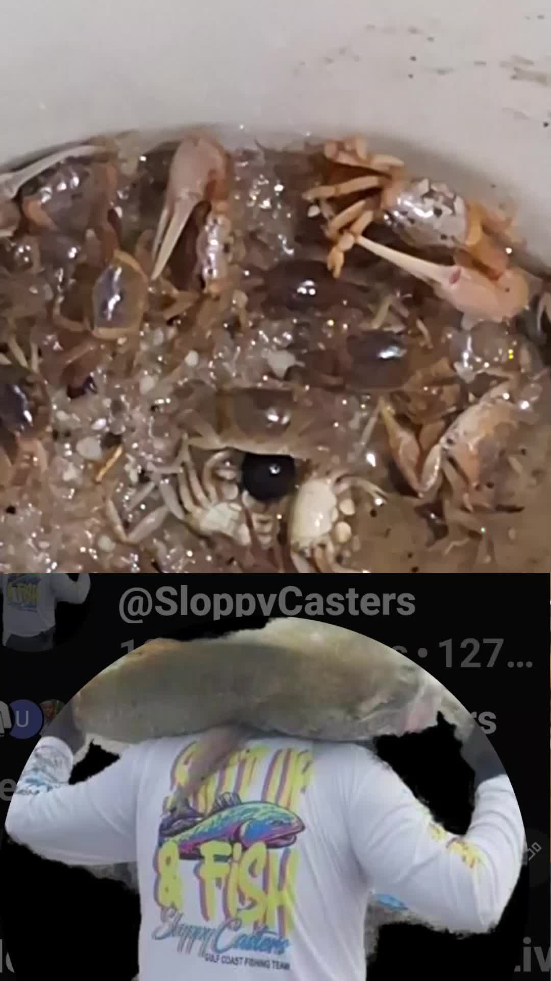 @Sloppycasters
