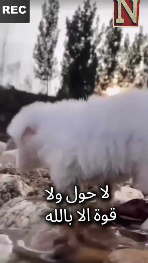 @%Nuraini  TSIsA%