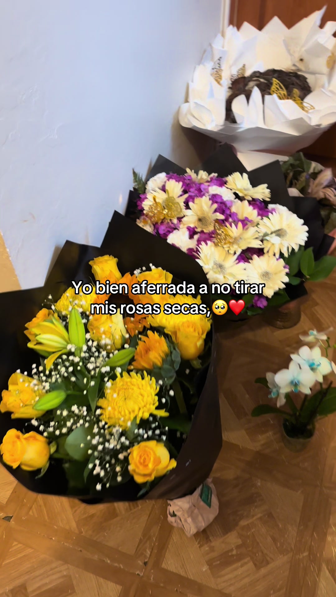 @are_Amaro17
