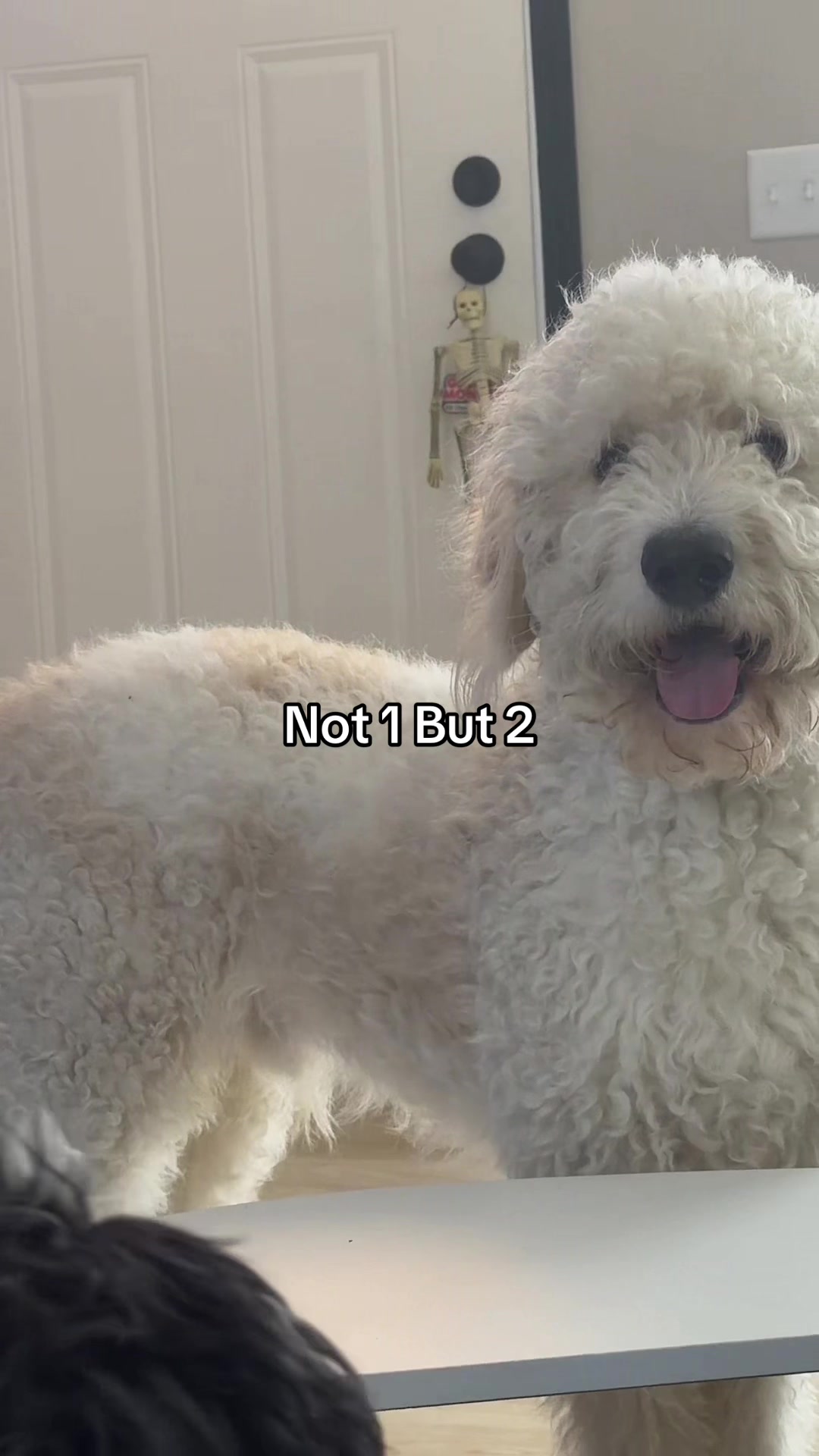 @MattKenzoTheRapper