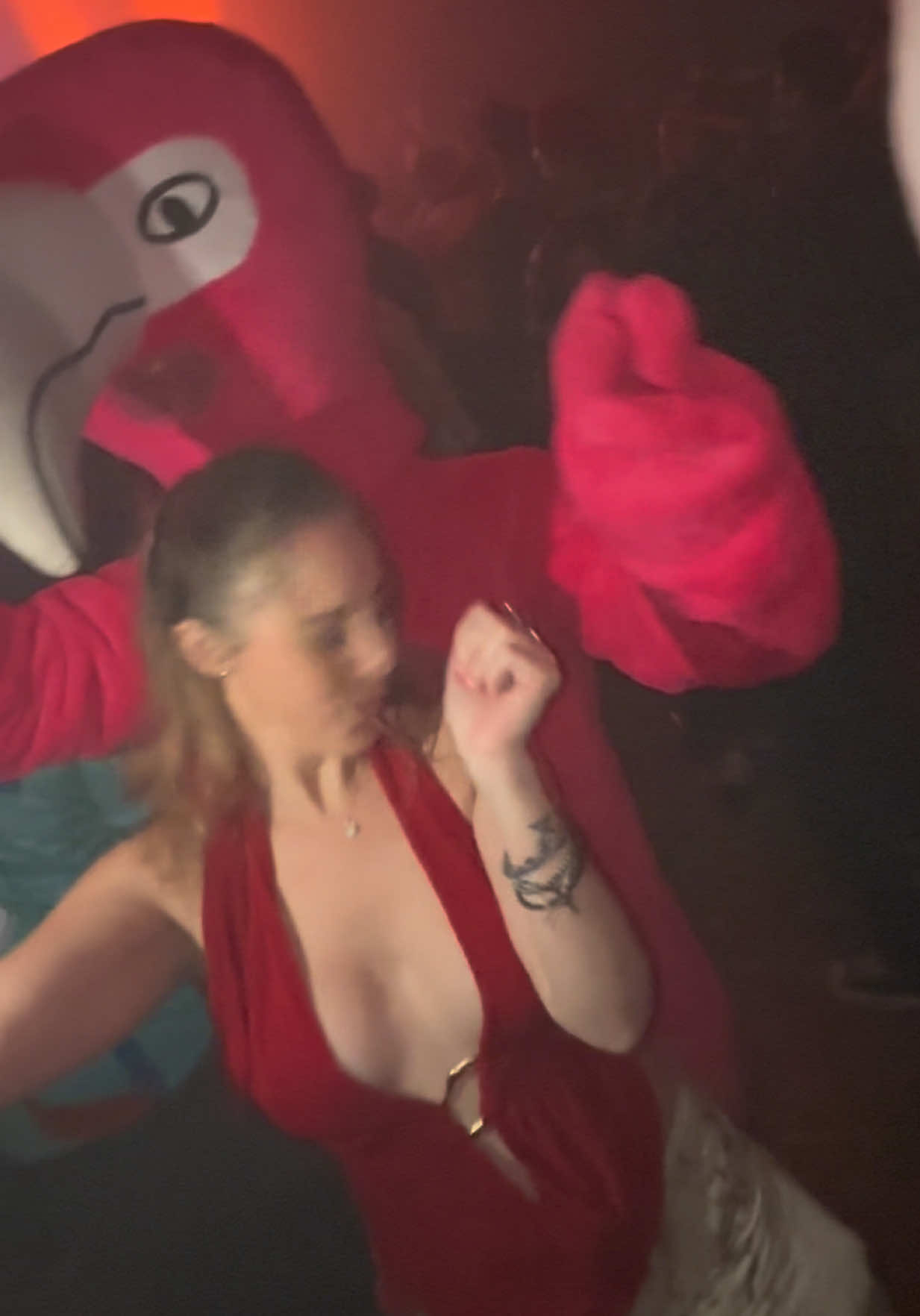 @RIPNDIP