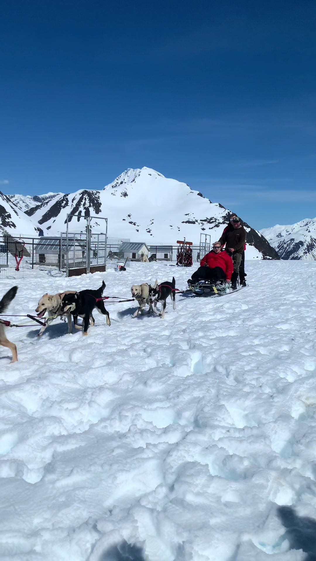 @Glacier Musher