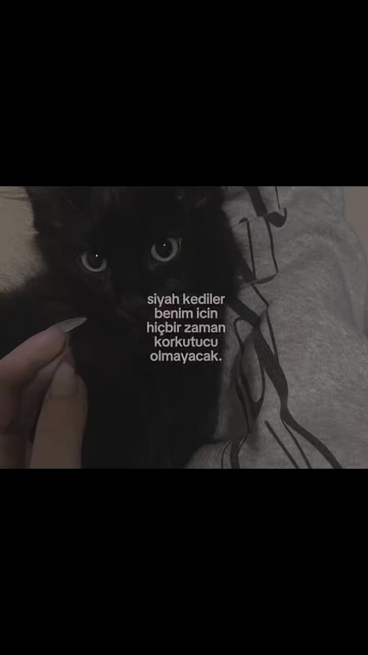 @𝓢𝓮𝓭𝓪⁰