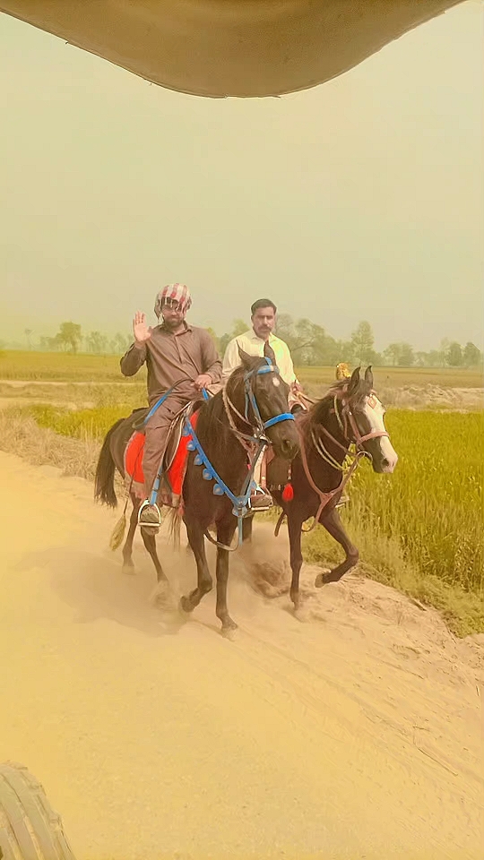 @Qamar Zaman Cheena