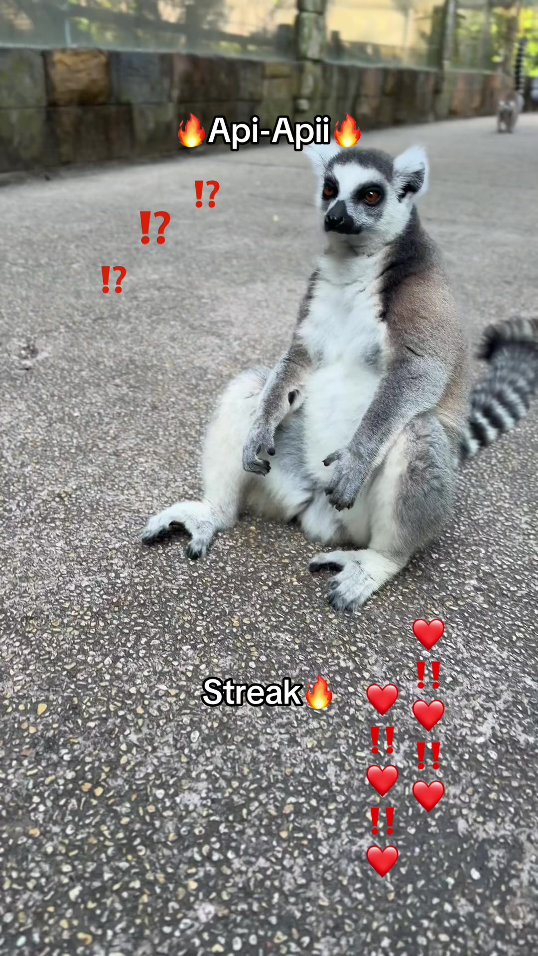 @Chuppy