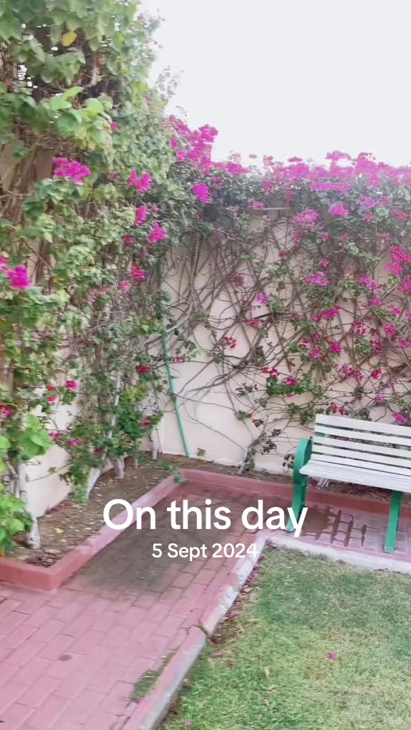 @🇶🇦