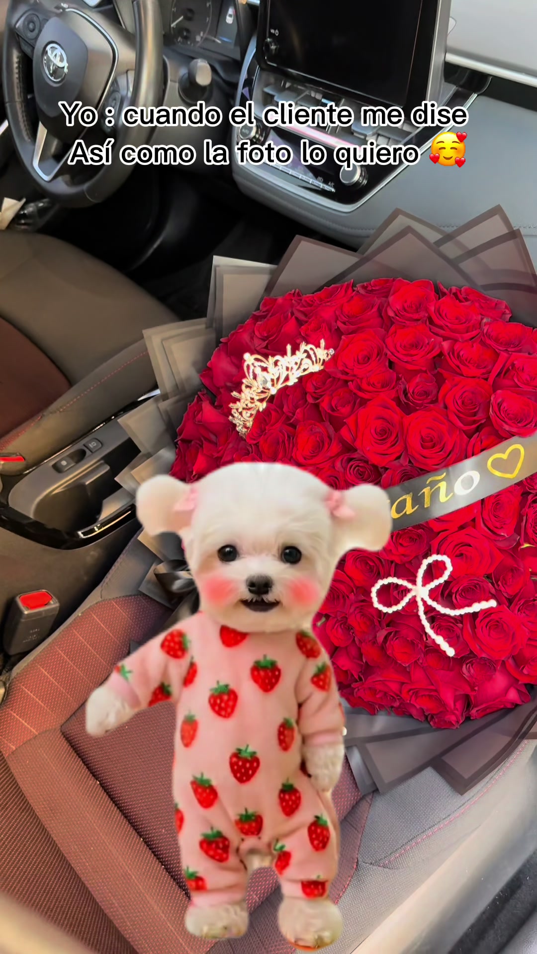 @Clari Velasquez ☘️🌹🌻🍒