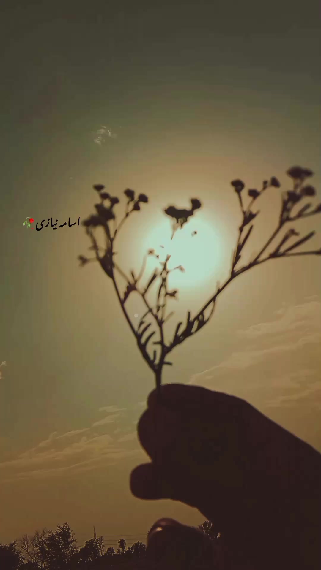 @اُسامہ 🍂