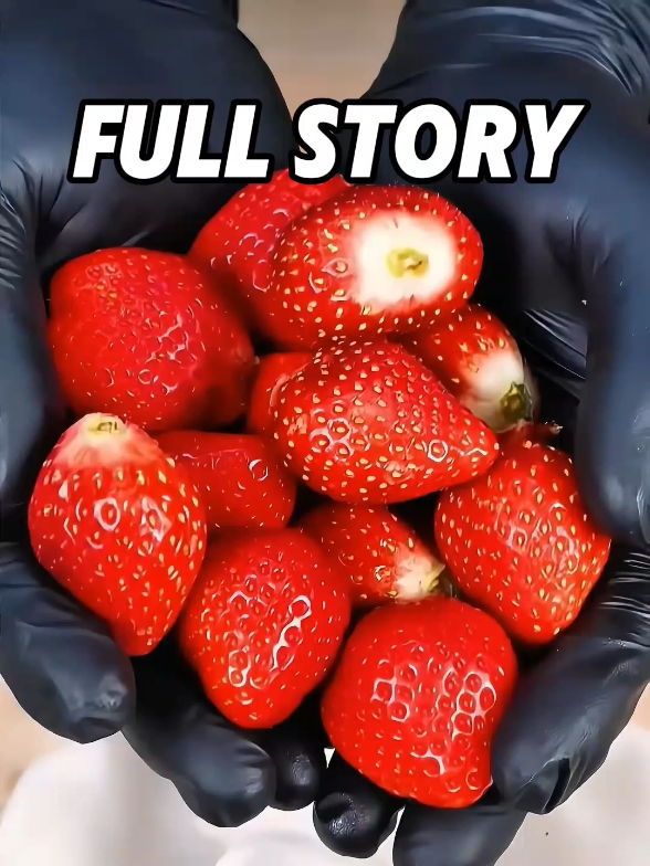 @𝙍𝙚𝙙𝙙𝙞𝙩𝙍𝙚𝙖𝙙𝙨