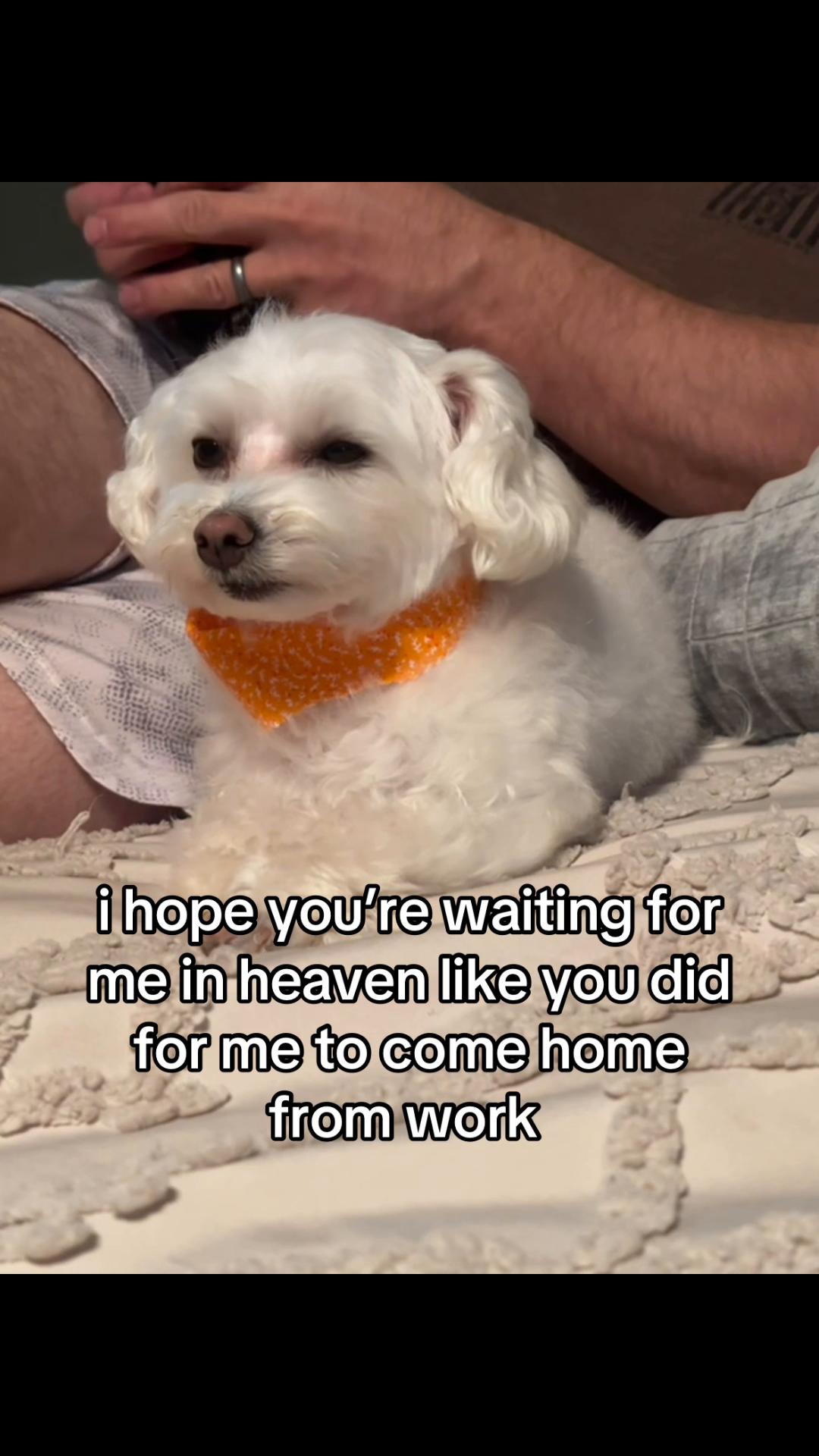 @✨💫𝑅𝒶𝓎𝓎𝓎💫✨