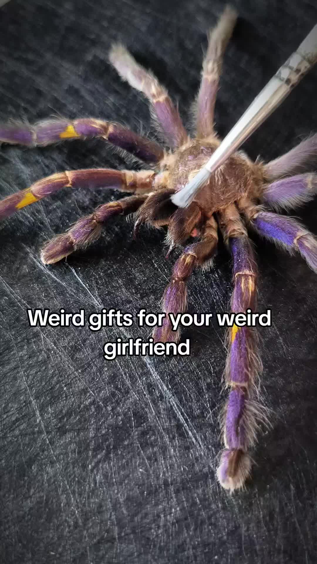 @TarantulaBox