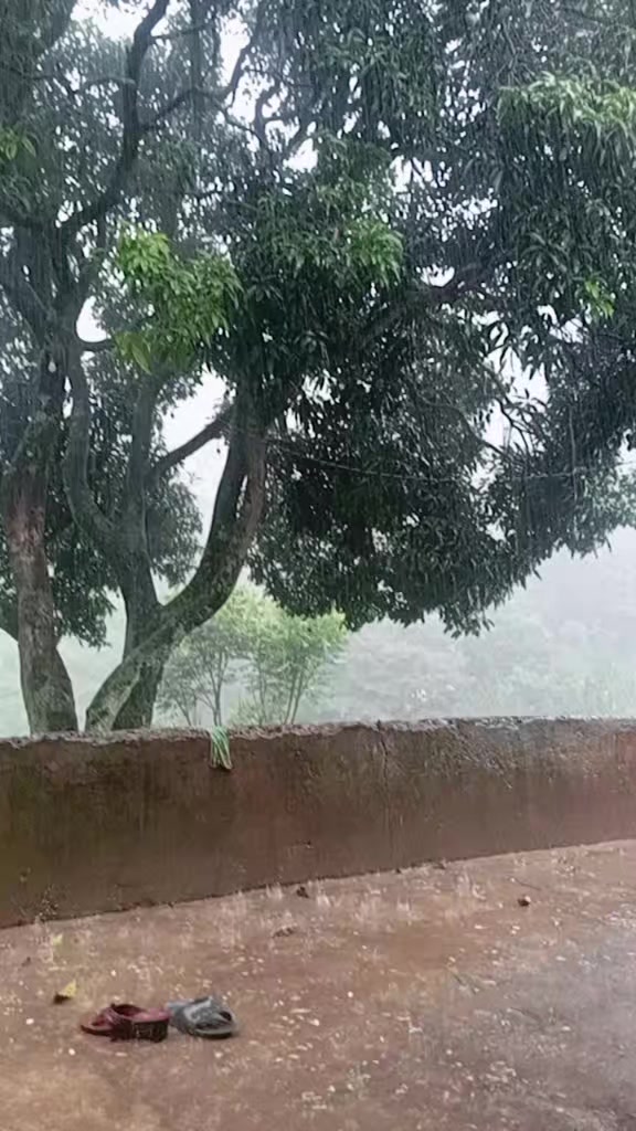 @kamalamahar25