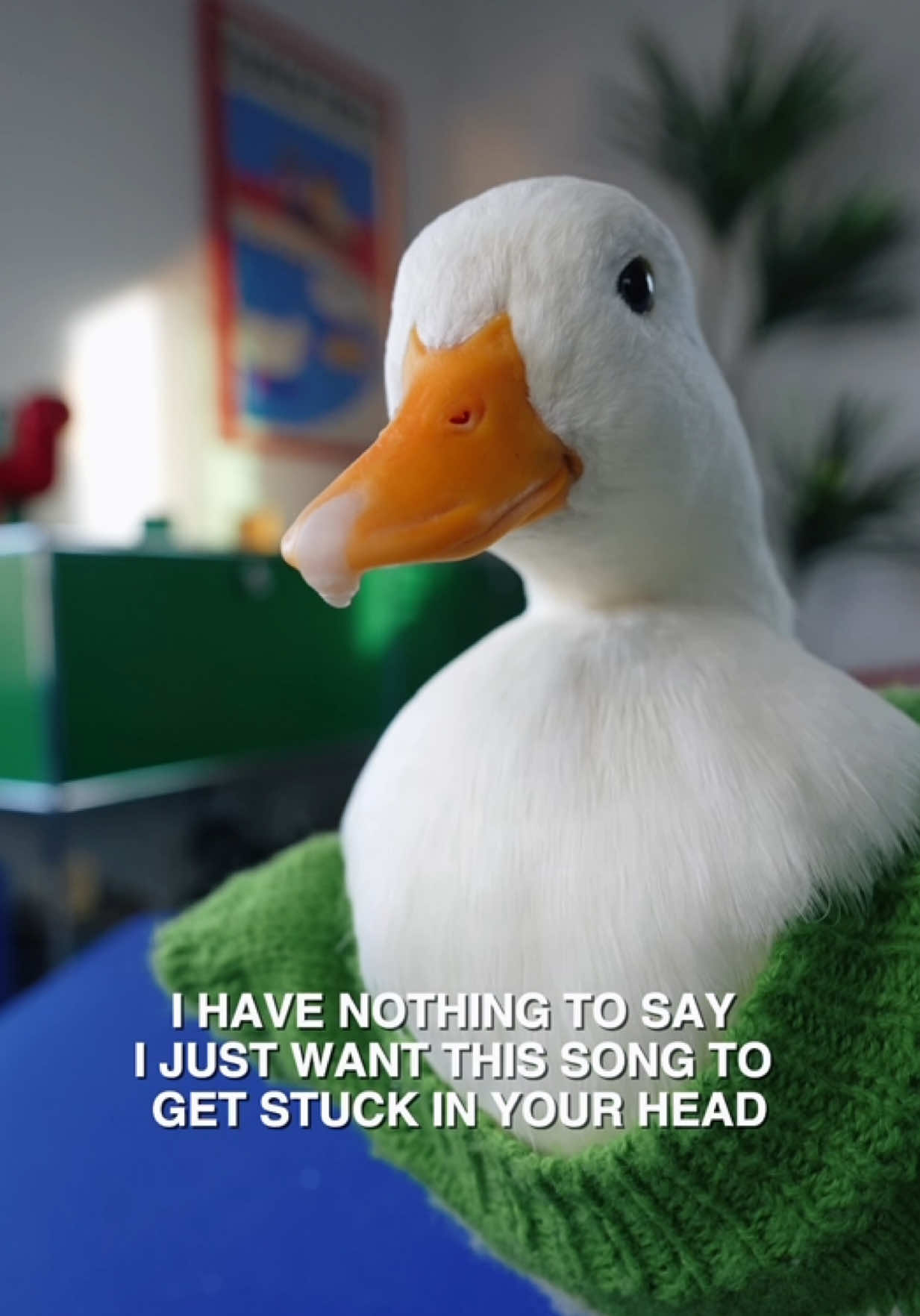 @ducks_in_space🪿🪿💦