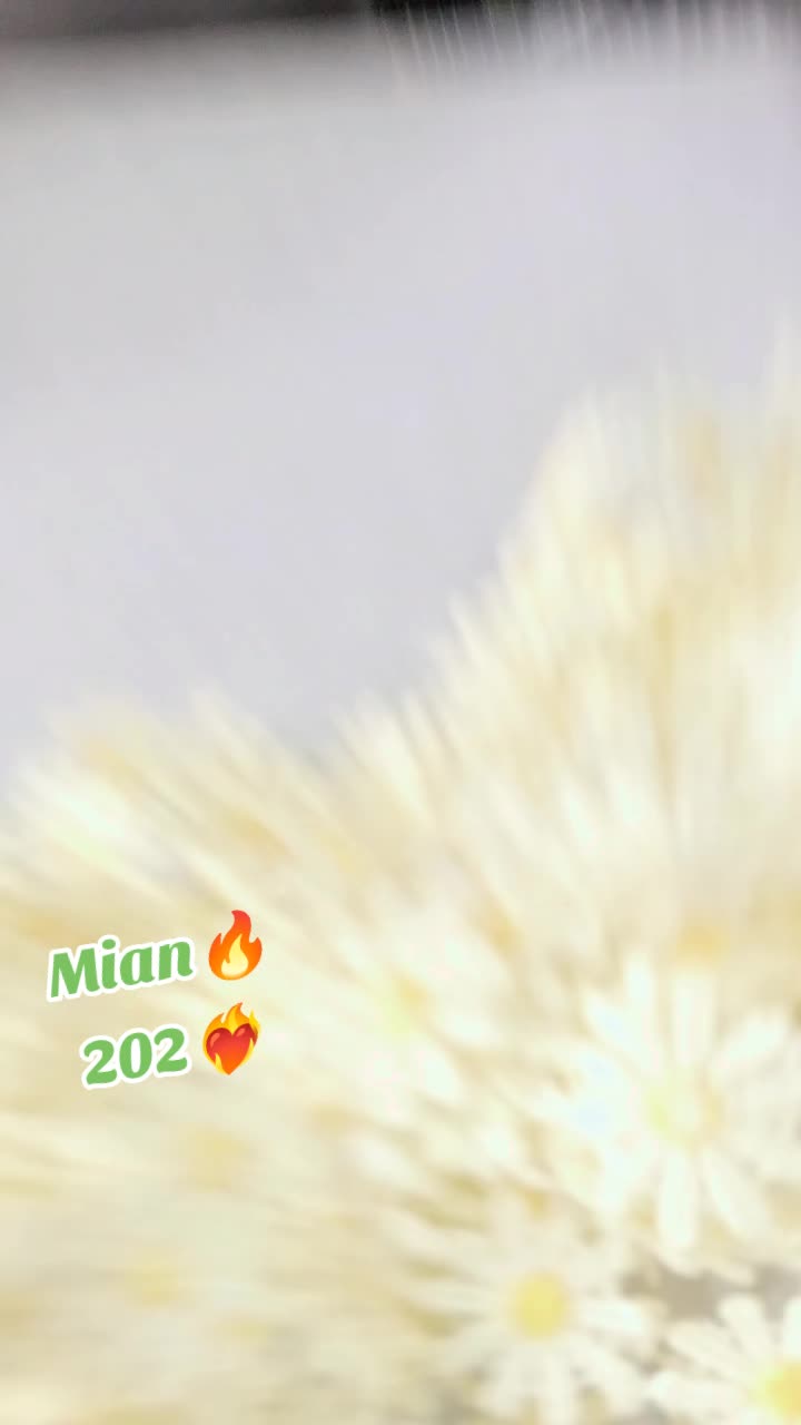 @Mian Qamar 202