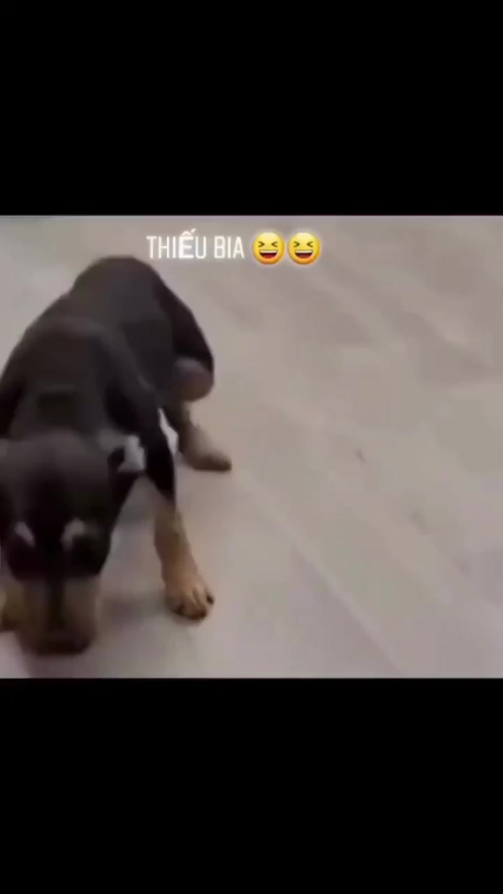 @Khánh Nhỏoo🤡