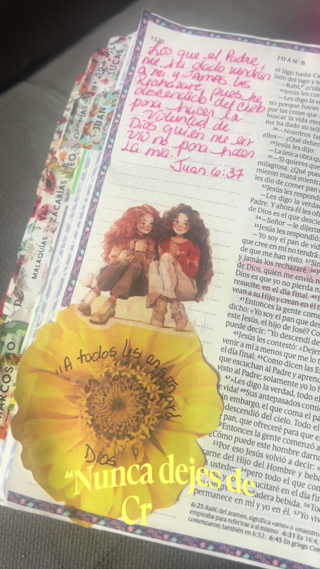 @IrisMilagros 🌼🌸