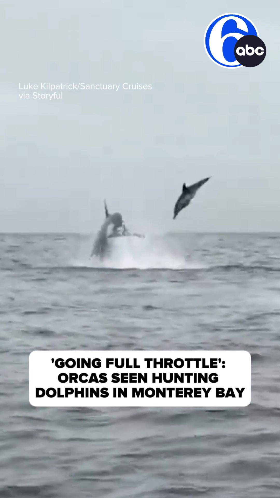 @6abc Action News