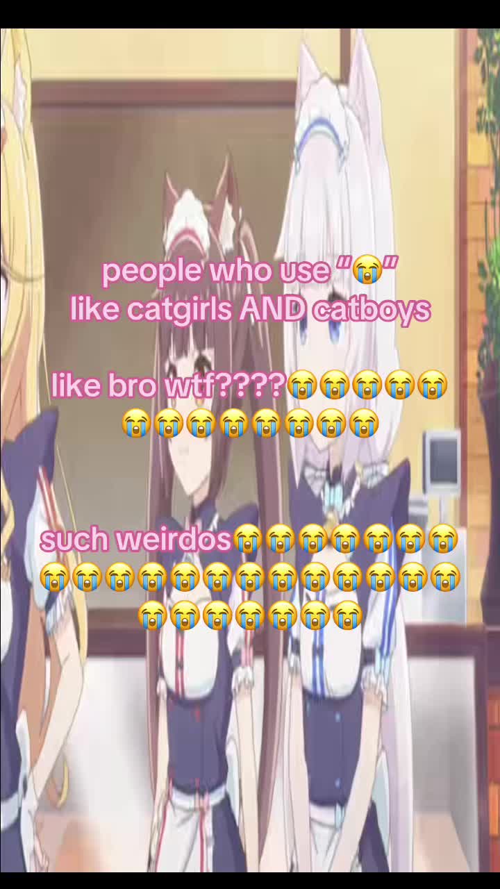 @vanvan 𖥔˖‧⛆°⋆