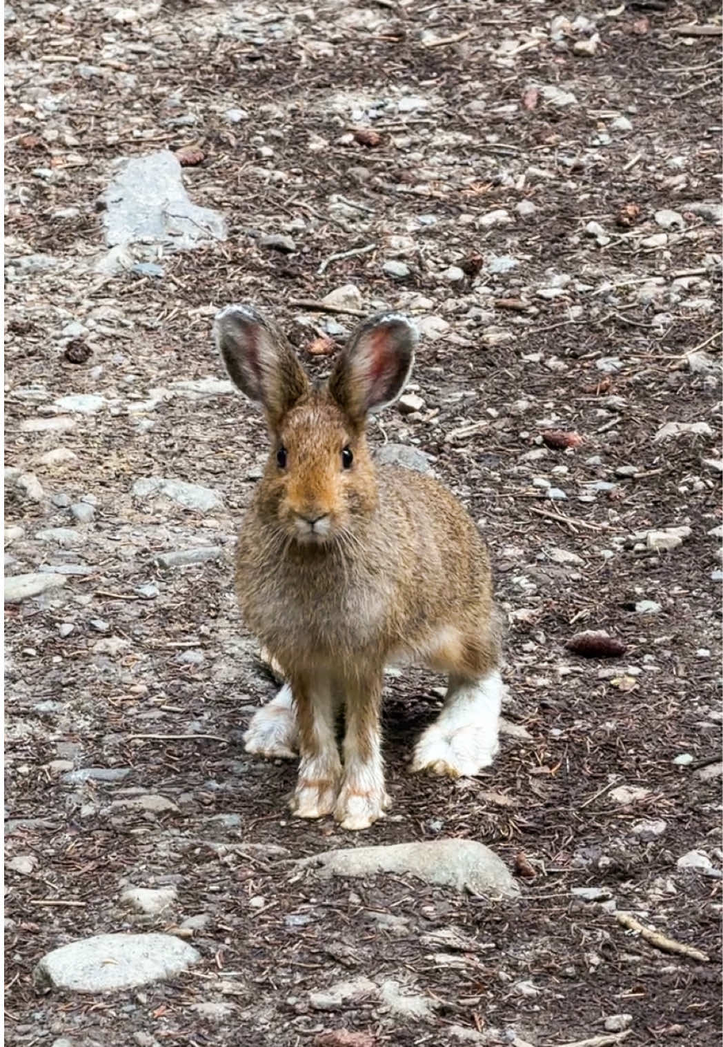 @Samantha
