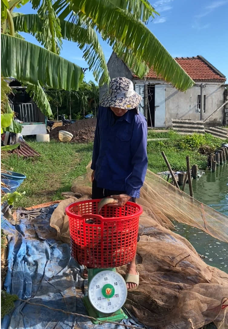 @Trại Cá Giống Quang Lâm
