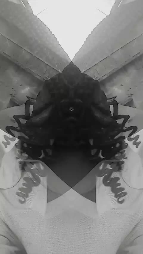 @slim ebony