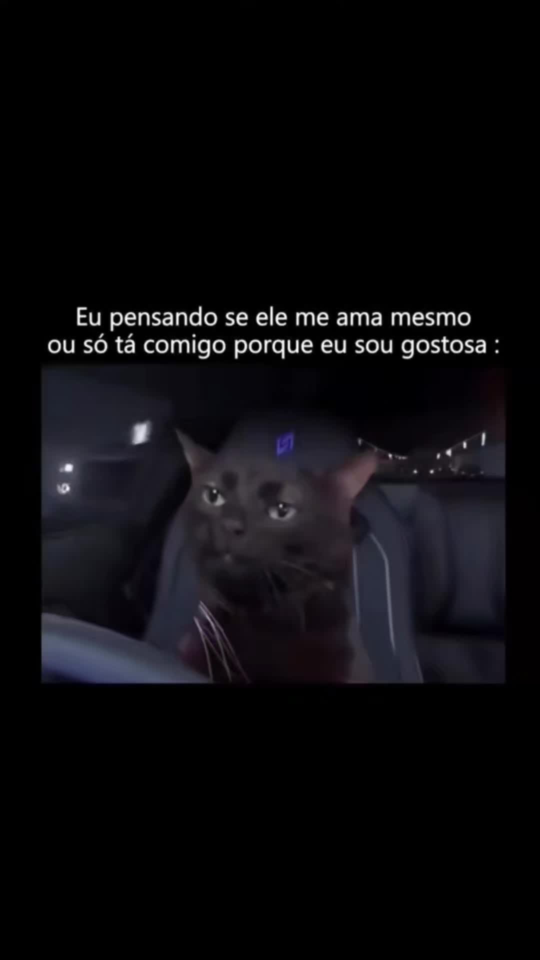 @🌵🐑DÉIACACTUS🦂