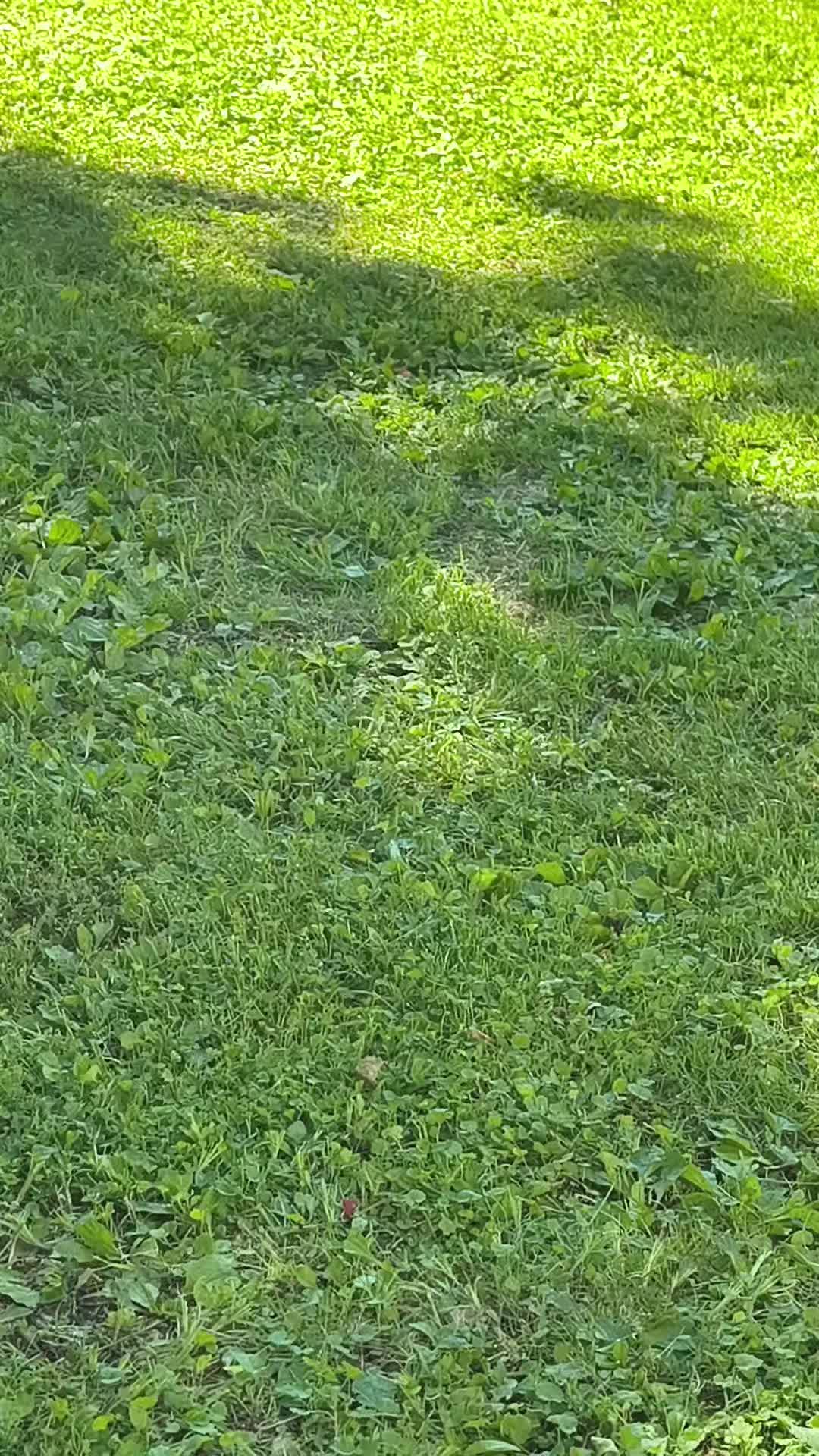 @JenniferDarling