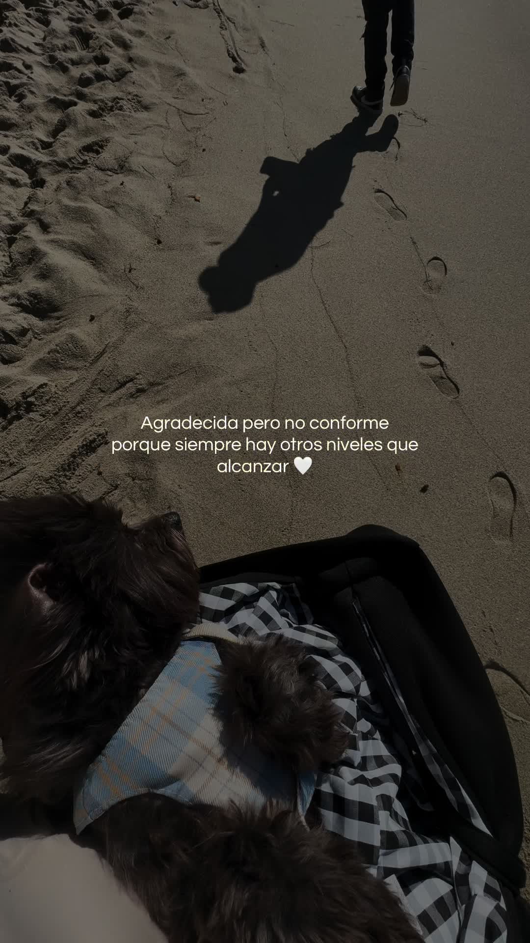 @𝒜𝓇