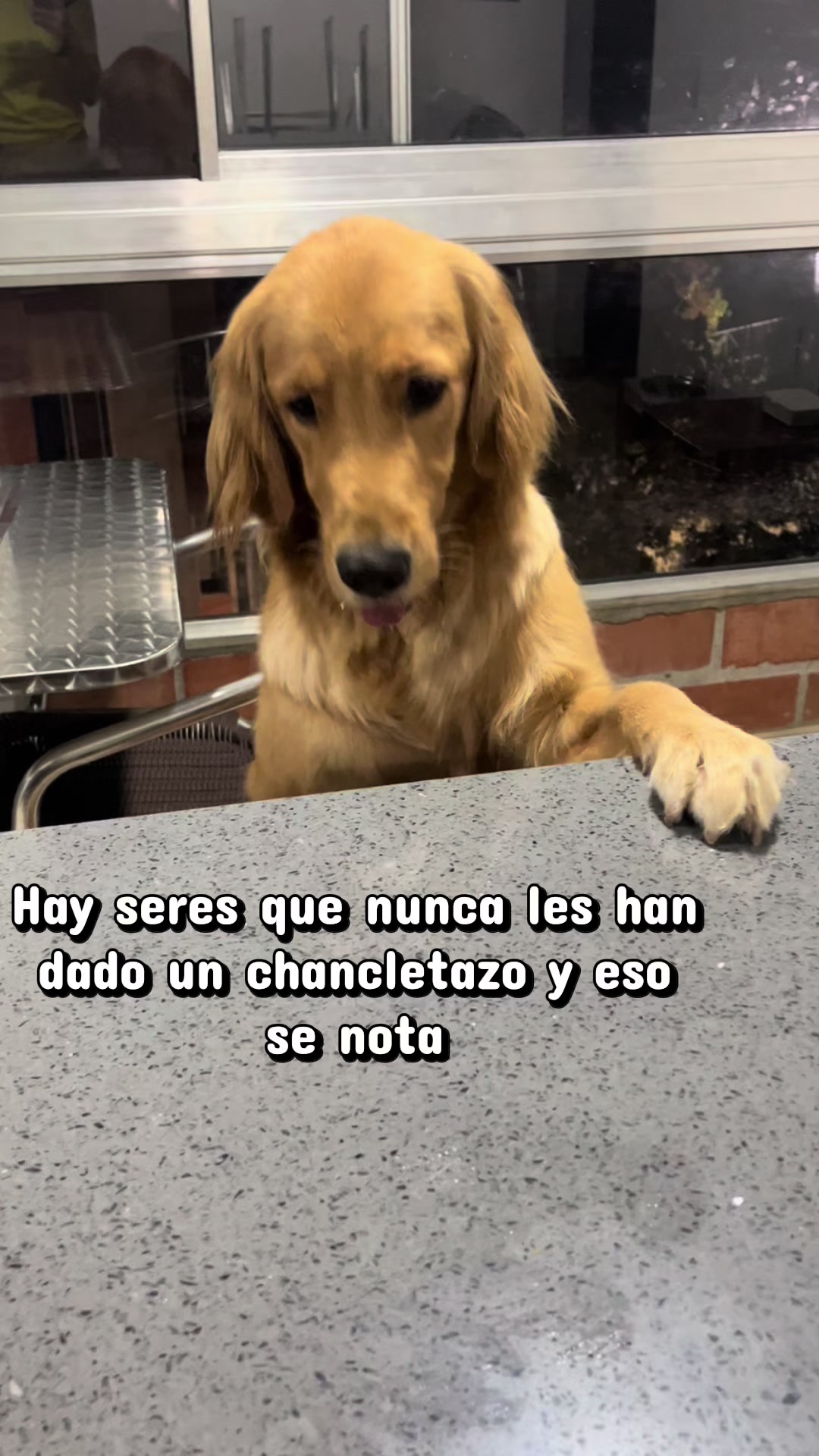 @Mila 🐶