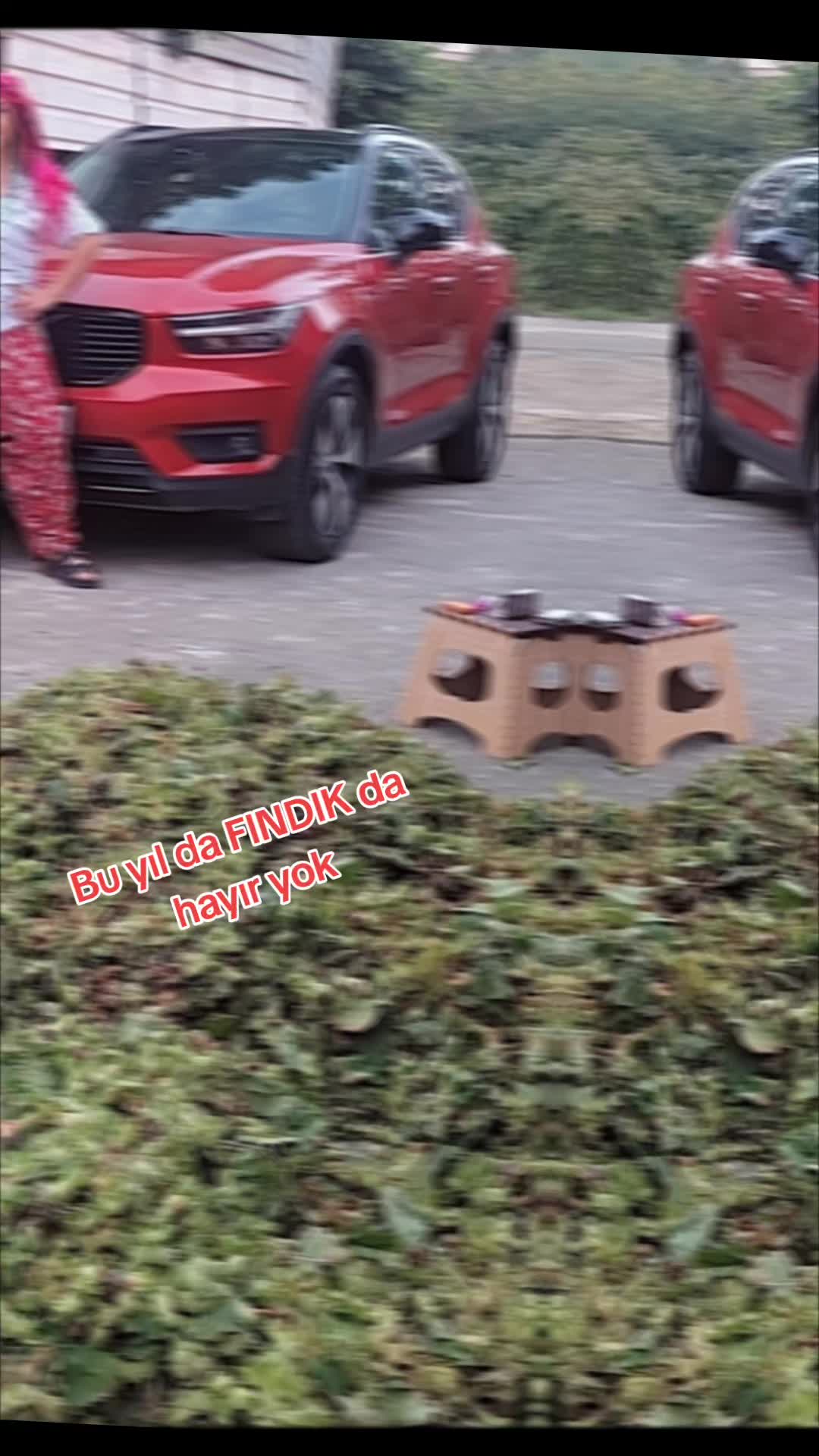 @Melek melek