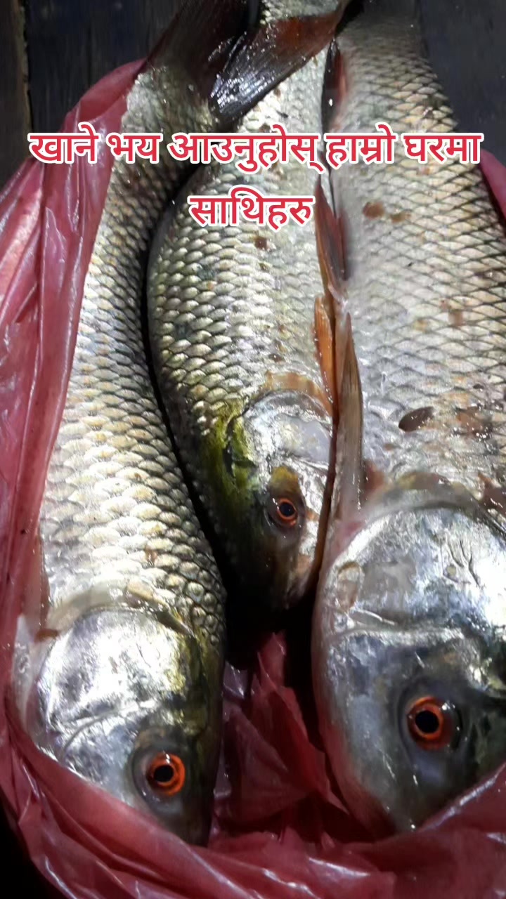 @Pabitra Pandeya
